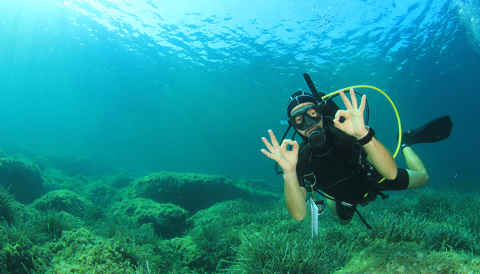 Scuba Diving 2 Dives From The Shore